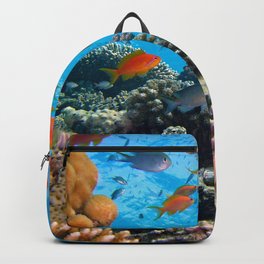 Underwater Photography Coral Reef Backpack | Aquarium, Graphicdesign, Animal, Tropical, Nature, Water, Marine, Sea, Fishphotography, Aquariumphoto 