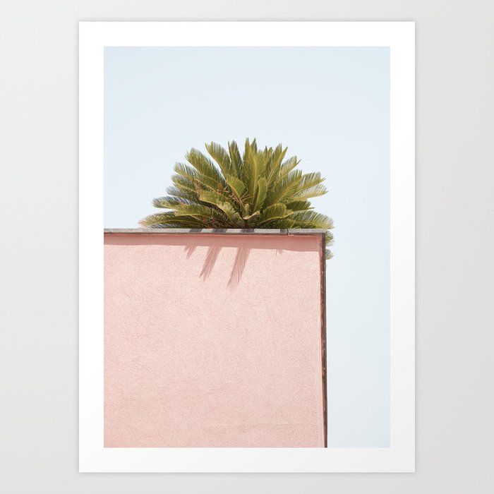 Summer On Procida Island | Tropical Palm On Pastel Pink Color Wall Art Print | Italy Travel Photography Art Print