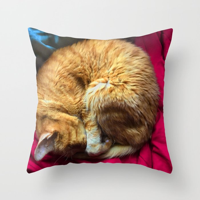 Sleeping Cat Orange On Red And Blue Throw Pillow