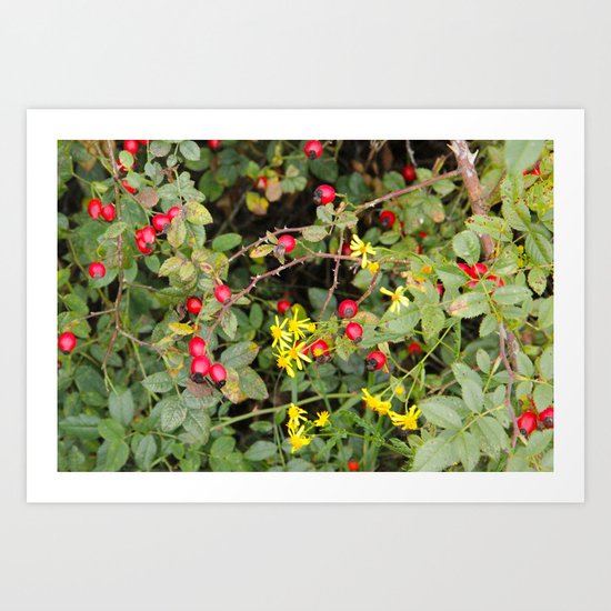 Flower and Berries Art Print