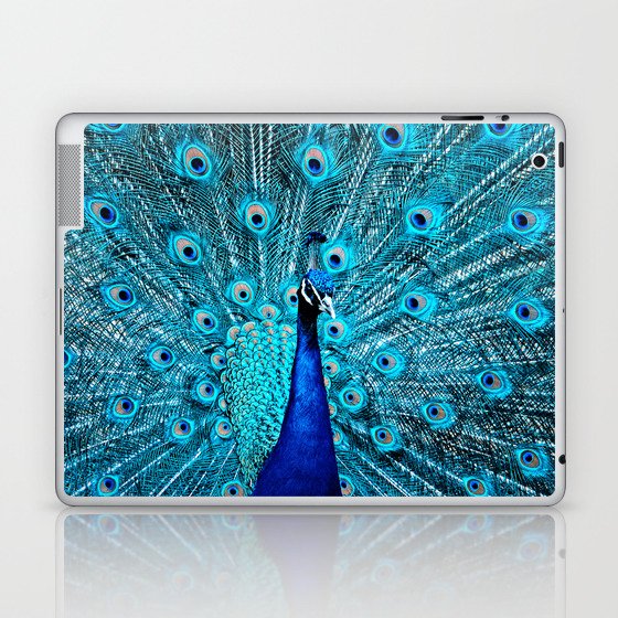 Peacock  Blue 11 Laptop & iPad Skin