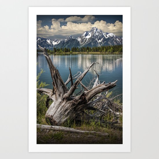 Tree Stump on the Northern Shore of Jackson Lake at Grand Teton National Park Art Print