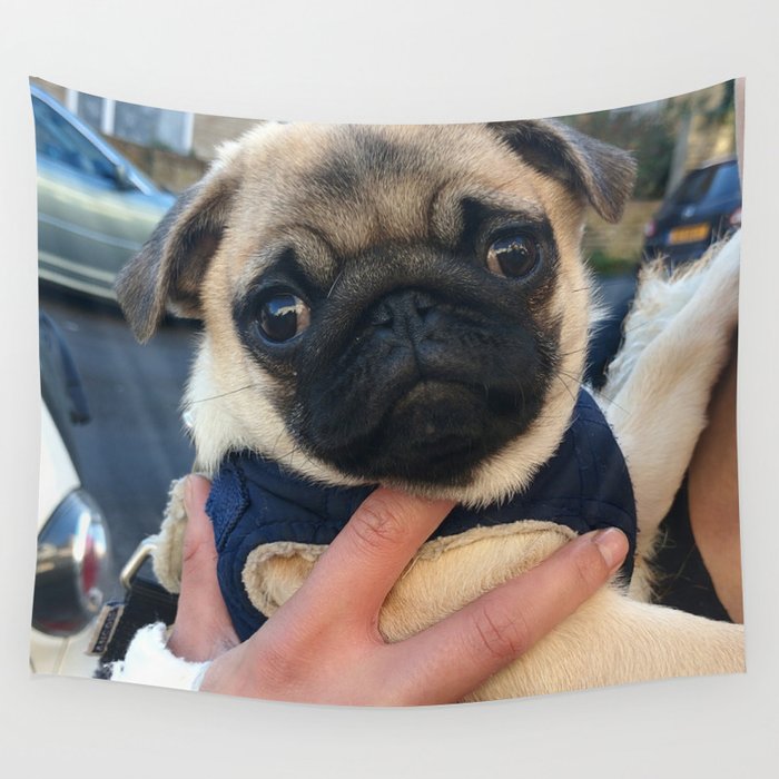 Pug tapestry sales