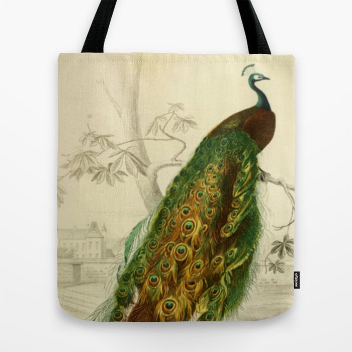 Naturalist Cotton Canvas Tote Bag