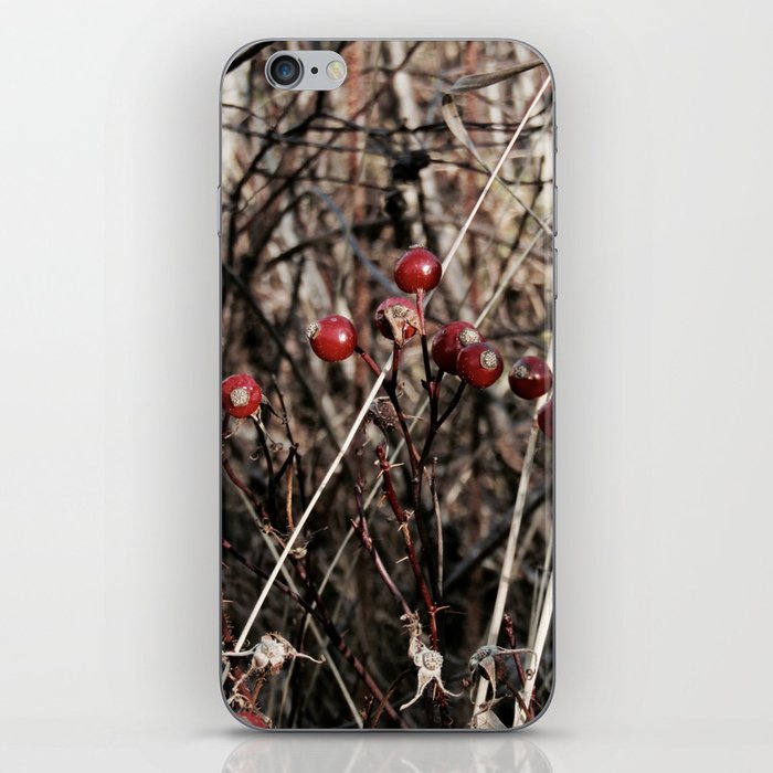 Thorned Berries of Winter iPhone Skin