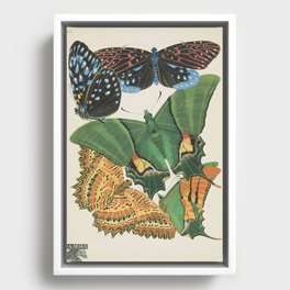 Butterfly and Moth Print by E.A. Seguy, 1920s #15 Framed Canvas
