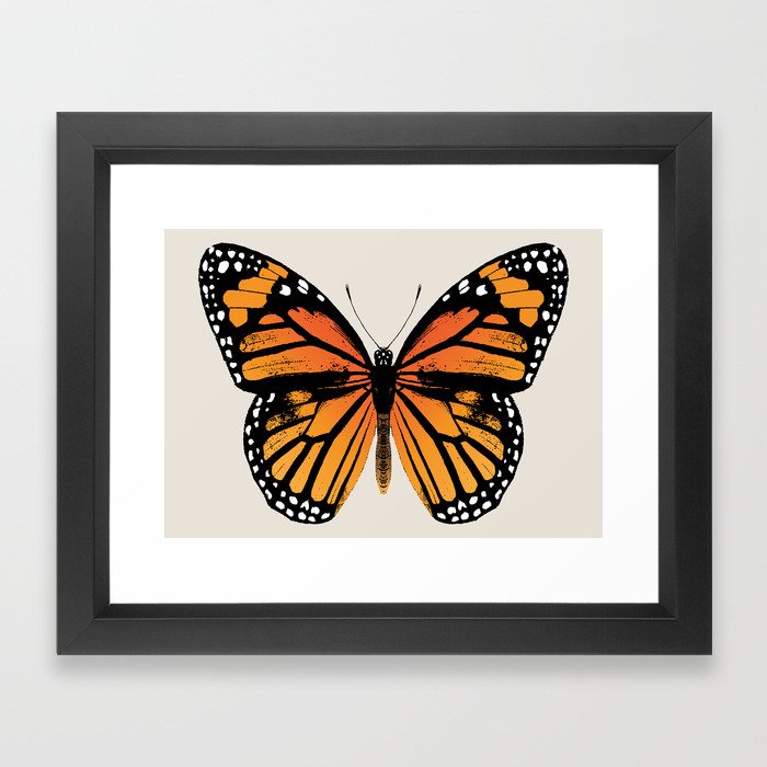 Monarch Butterfly | Vintage Butterfly | Framed Art Print by ...