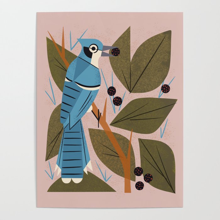 Blue Jay And Berries Poster