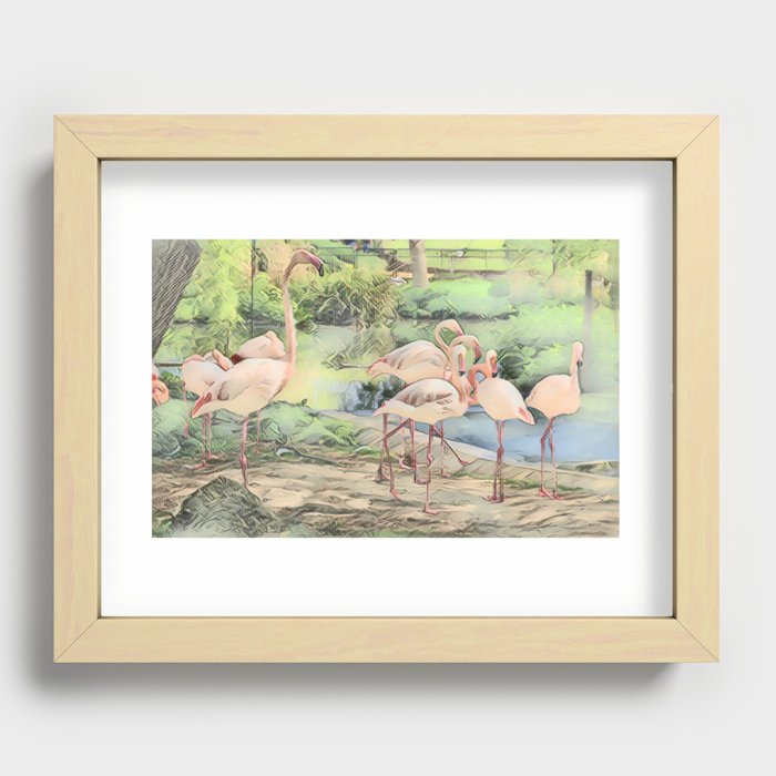 Flamingo Family In Pen And Ink Recessed Framed Print