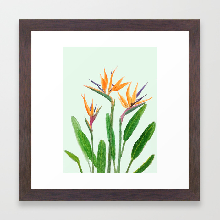 Bird Of Paradise Flower Painting Framed Art Print By Colorandcolor