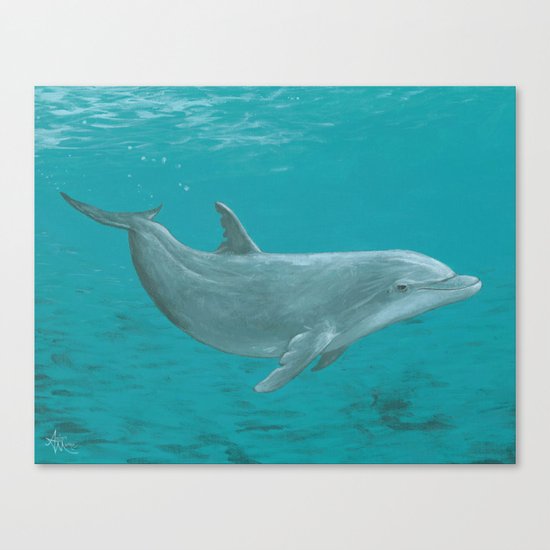 "Shallow Reef" by Amber Marine ~ Dolphin Art ~ Acrylic Painting, (c) 2014 Canvas Print