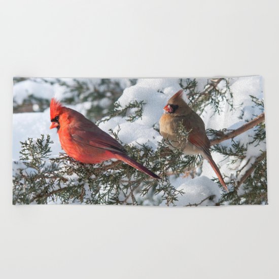 Sunny Winter Cardinals (square) Beach Towel
