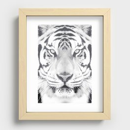 BW Tiger Recessed Framed Print