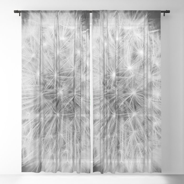 Black And White Dandelion Head Sheer Curtain By Cohncentric Society6 White Dandelion Head Sheer Curtain, Dandelion Print Curtains