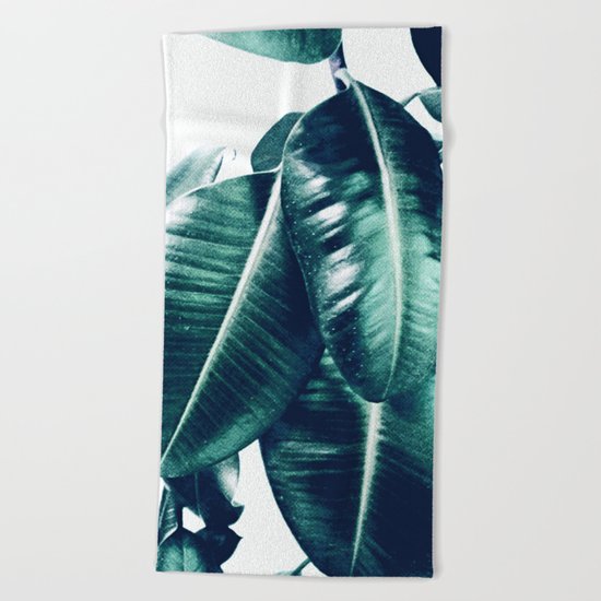 Ficus Elastica #1 Beach Towel