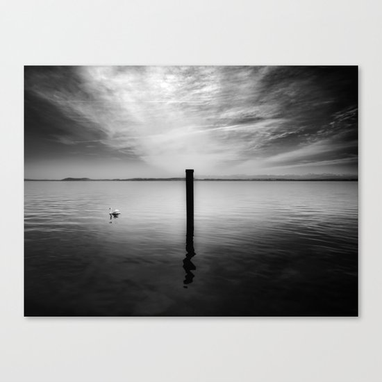 Lake and Swan. Landscape Photography. Canvas Print