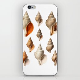 Sea Shells Beach Decor iPhone Skin