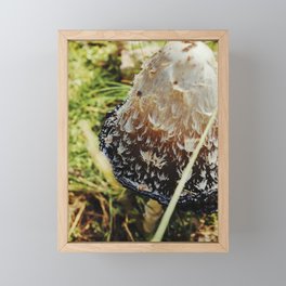 Dalmatian Mushroom | Nature Photography #mushroom #decor #art Framed Mini Art Print