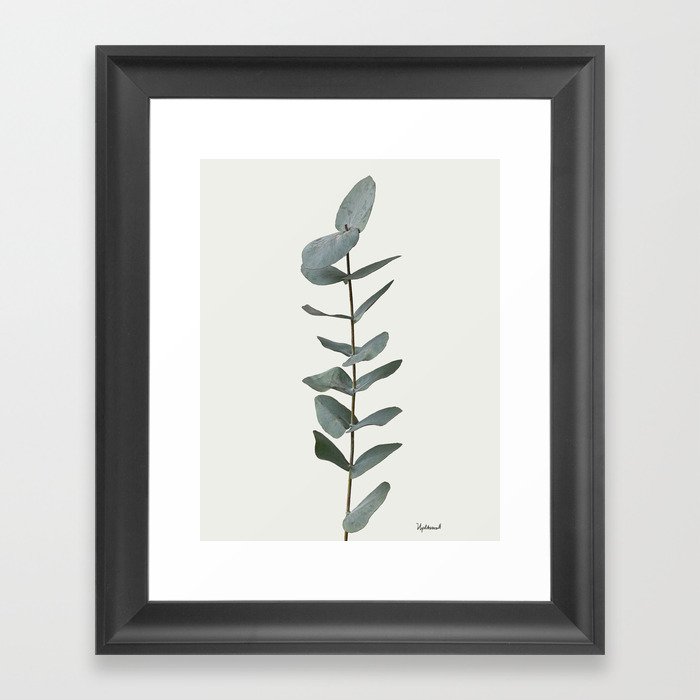 Simple Eucalyptus Framed Art Print