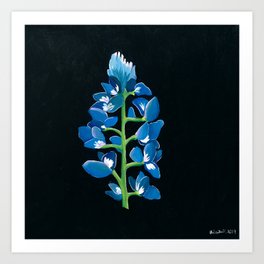 Blue Bonnet Art Print