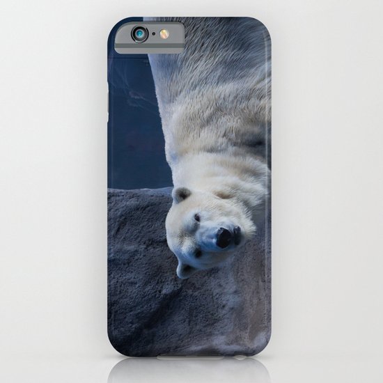 Polar Bear iPhone & iPod Case