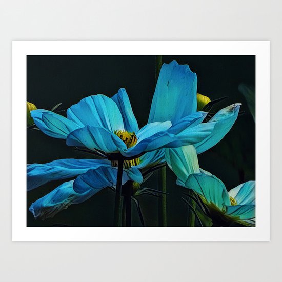Cool Blue Comos Art Print