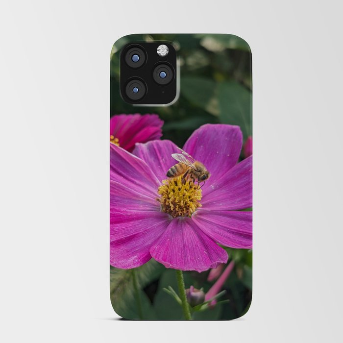 Bee Visiting Cosmo Flower  iPhone Card Case