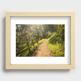 Forest Path Recessed Framed Print