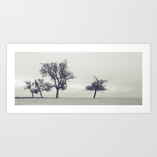 bleak trees... Art Print
