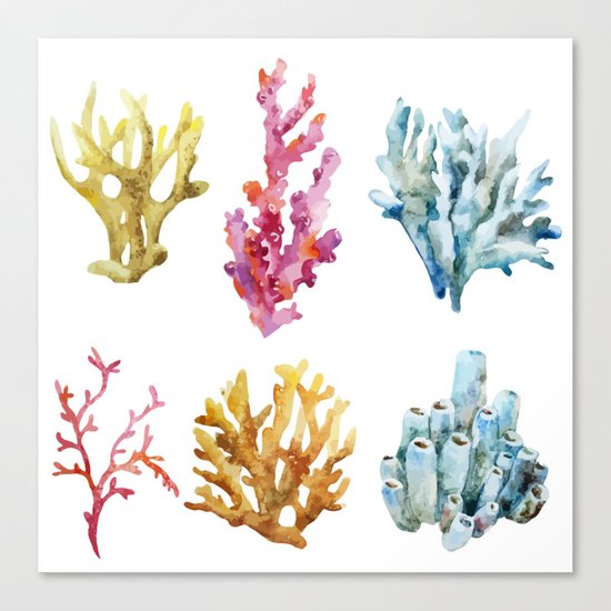 Colorful Chorals Canvas Print