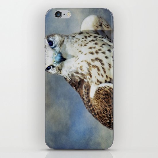Saker Falcon iPhone & iPod Skin