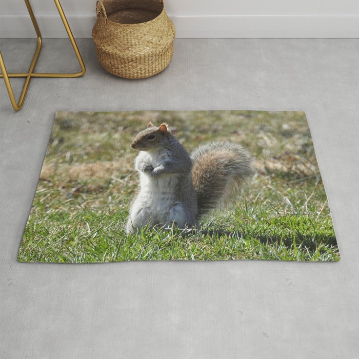 Wildlife photography, Eastern Gray Squirrel, nature Rug