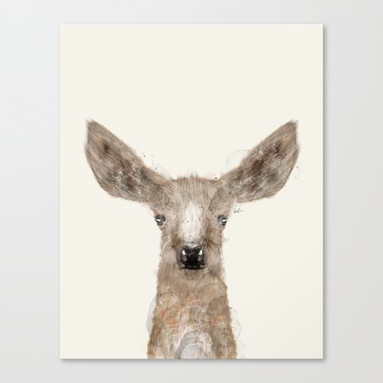 little deer fawn Canvas Print