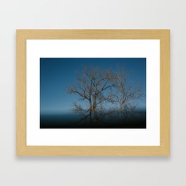 Tree Reflection Framed Art Print