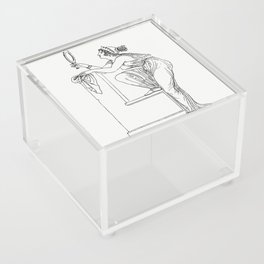 Ancient Greek Vanity Acrylic Box