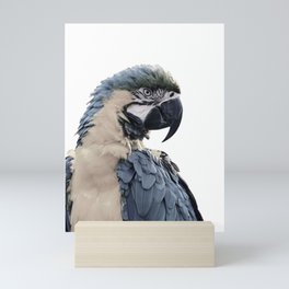 Blue Parrot Mini Art Print