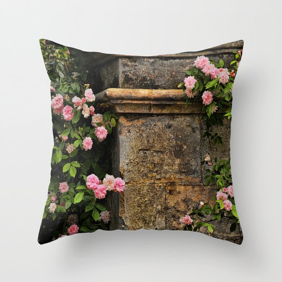 Stones and Roses Throw Pillow
