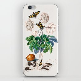 Double flower cultivar of Wood anemone, Painted handmaiden moth, Blister beetle, Spanish fly and Sawyer beetle from the Natural History Cabinet of Anna Blackburne  iPhone Skin