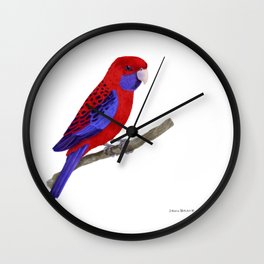 Crimson Rosella Bird Wall Clock