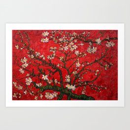 Almond Blossoms Red Vincent Van Gogh Art Print