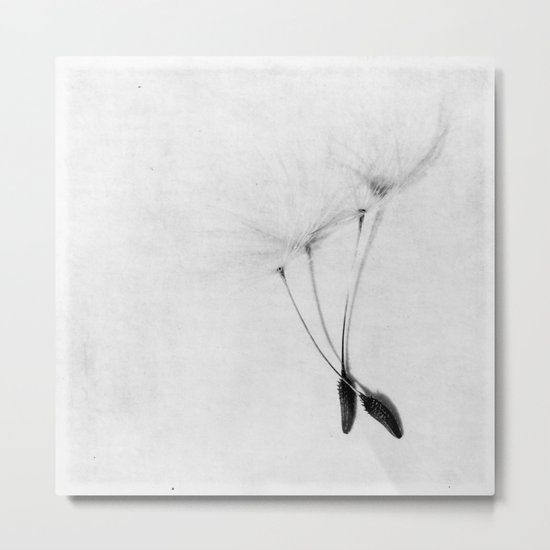 shadow play Metal Print