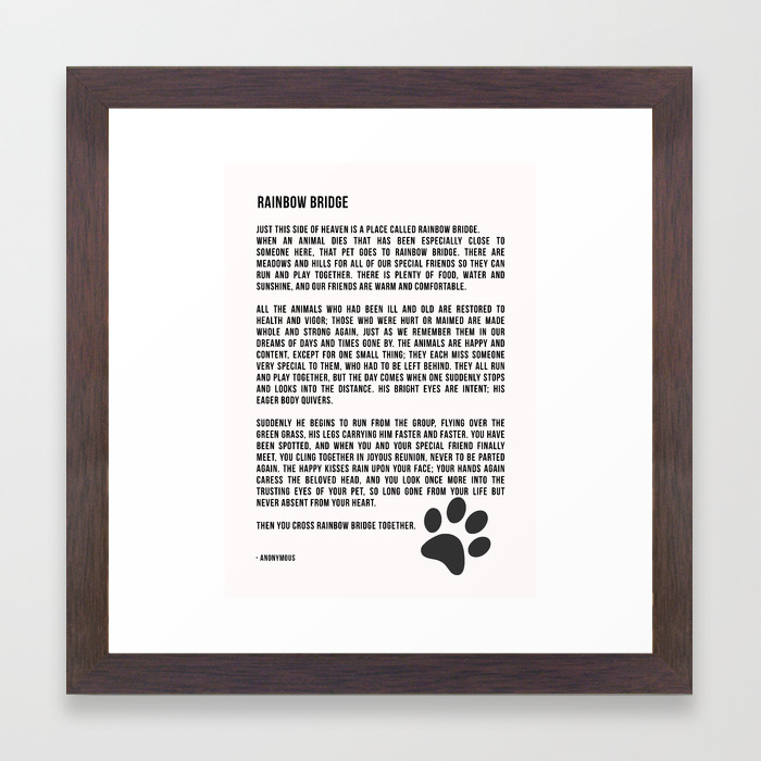 Rainbow Bridge Poem Inspirational Pet Love Framed Art Print By Andreaanderegg Society6