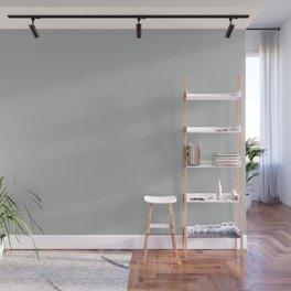 Gray / Grey Solid Color #B5BAB6 2024 Trending Single Shade Minimalism Modern Contemporary Wall Mural