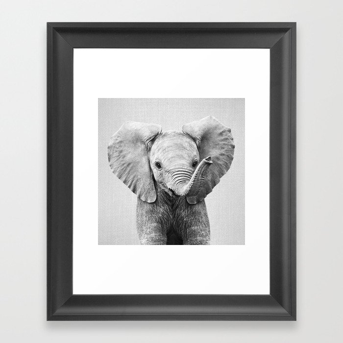 Baby Elephant - Black & White Framed Art Print