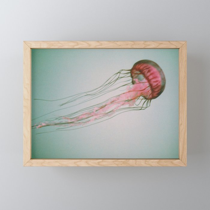 Jellyfish Framed Mini Art Print