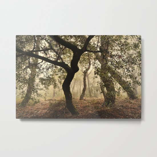 "Enchanted forest". Follow your dreams..... Metal Print