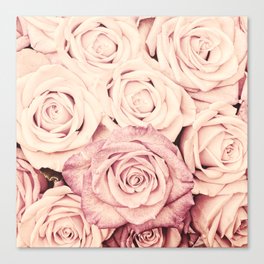 Some people grumble Floral rose roses flowers garden pink Canvas Print