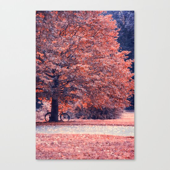 relax Canvas Print