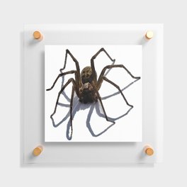 SPIDER Floating Acrylic Print