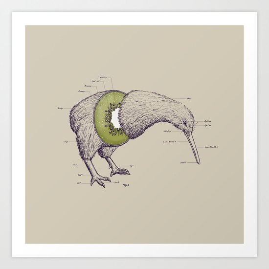 Kiwi Anatomy Art Print